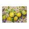 Stupell Industries Cottage Lemon Blooms Canvas Wall Art Design by Alina Georgescu
